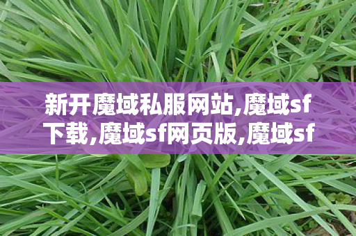 新开魔域私服网站,魔域sf下载,魔域sf网页版,魔域sf下载