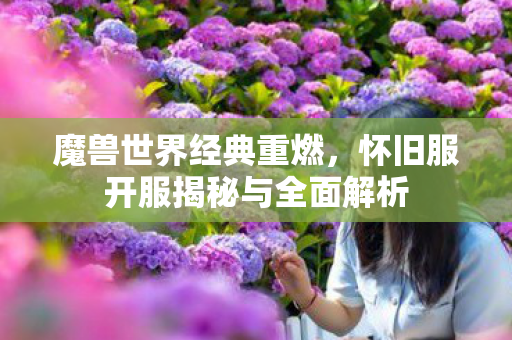 魔兽世界经典重燃，怀旧服开服揭秘与全面解析
