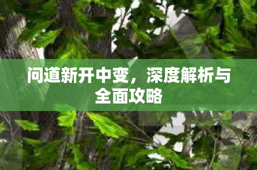 问道新开中变，深度解析与全面攻略