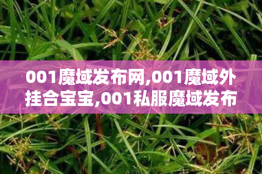 001魔域发布网,001魔域外挂合宝宝,001私服魔域发布网,001魔域外挂合宝宝