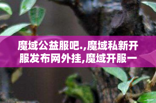 魔域公益服吧.,魔域私新开服发布网外挂,魔域开服一条龙,魔域私新开服发布网外挂