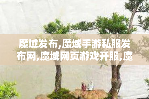魔域发布,魔域手游私服发布网,魔域网页游戏开服,魔域手游私服发布网