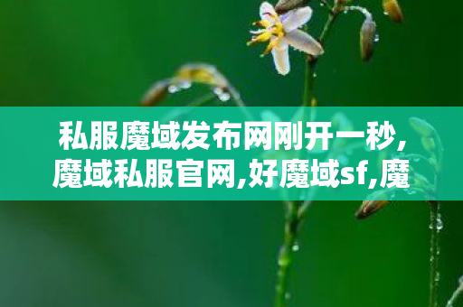 私服魔域发布网刚开一秒,魔域私服官网,好魔域sf,魔域私服官网