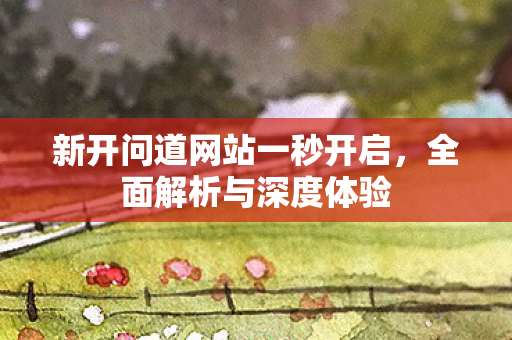 新开问道网站一秒开启，全面解析与深度体验