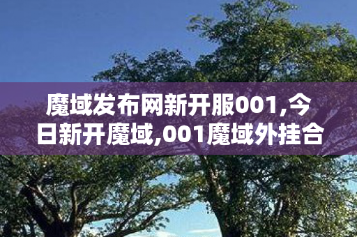魔域发布网新开服001,今日新开魔域,001魔域外挂合宝宝,今日新开魔域