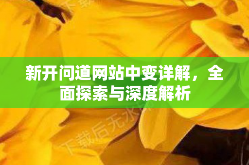 新开问道网站中变详解，全面探索与深度解析