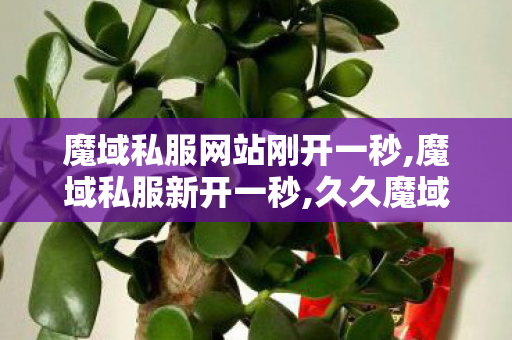 魔域私服网站刚开一秒,魔域私服新开一秒,久久魔域,魔域私服新开一秒