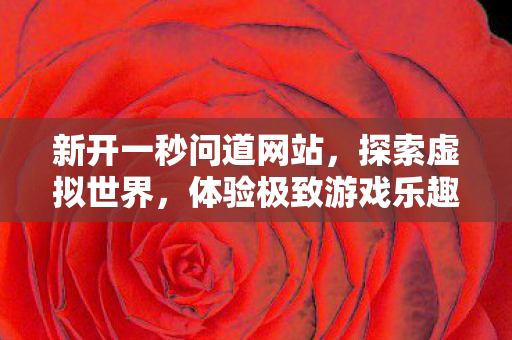 新开一秒问道网站，探索虚拟世界，体验极致游戏乐趣
