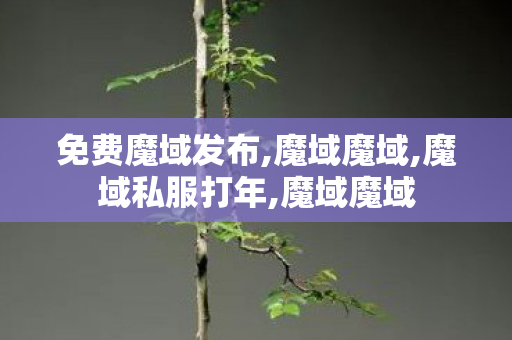 免费魔域发布,魔域魔域,魔域私服打年,魔域魔域