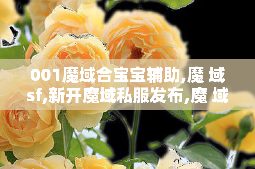 001魔域合宝宝辅助,魔 域sf,新开魔域私服发布,魔 域sf