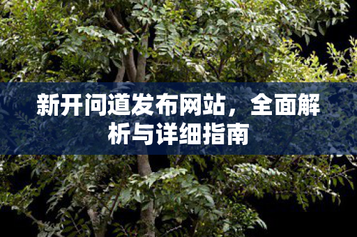 新开问道发布网站，全面解析与详细指南