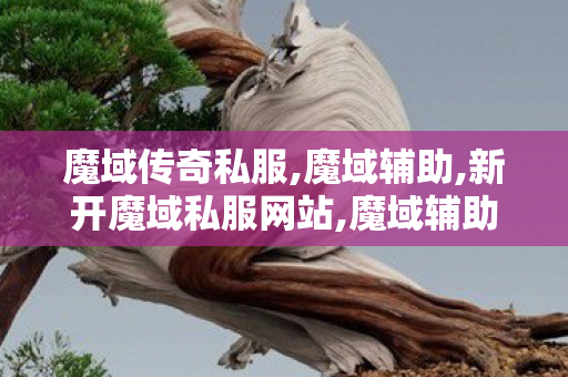 魔域传奇私服,魔域辅助,新开魔域私服网站,魔域辅助