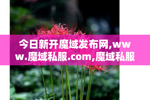 今日新开魔域发布网,www.魔域私服.com,魔域私服发布站,www.魔域私服.com