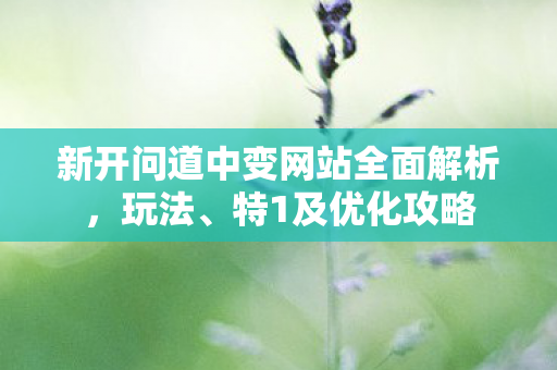 新开问道中变网站全面解析，玩法、特1及优化攻略