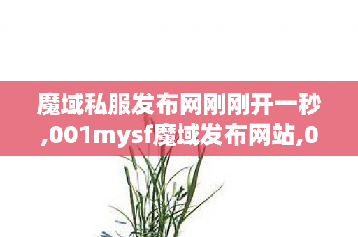 魔域私服发布网刚刚开一秒,001mysf魔域发布网站,001魔域辅助外挂,001mysf魔域发布网站