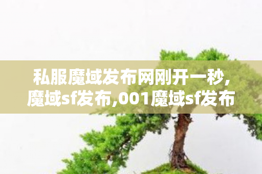 私服魔域发布网刚开一秒,魔域sf发布,001魔域sf发布网,魔域sf发布