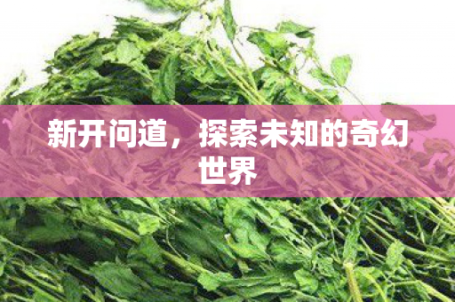 新开问道，探索未知的奇幻世界