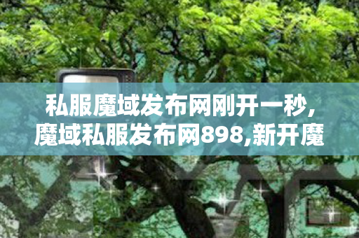 私服魔域发布网刚开一秒,魔域私服发布网898,新开魔域仿官方私服,魔域私服发布网898
