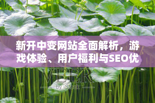 新开中变网站全面解析，游戏体验、用户福利与SEO优化策略