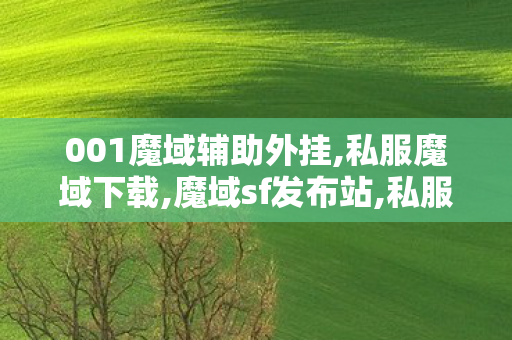 001魔域辅助外挂,私服魔域下载,魔域sf发布站,私服魔域下载