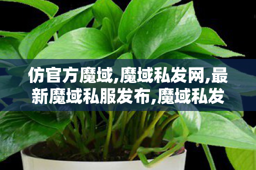 仿官方魔域,魔域私发网,最新魔域私服发布,魔域私发网