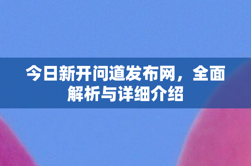 今日新开问道发布网，全面解析与详细介绍