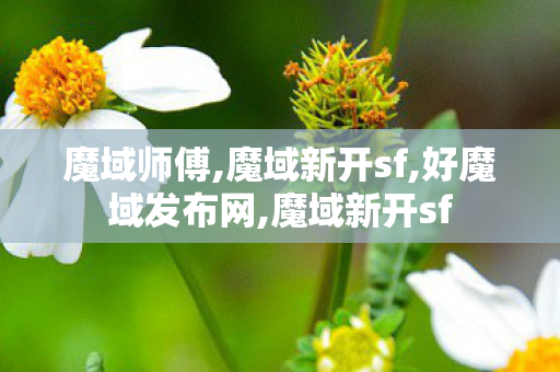 魔域师傅,魔域新开sf,好魔域发布网,魔域新开sf