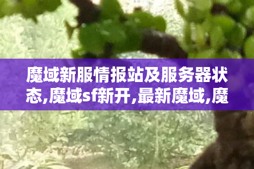 魔域新服情报站及服务器状态,魔域sf新开,最新魔域,魔域sf新开