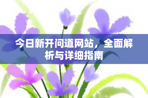 今日新开问道网站，全面解析与详细指南
