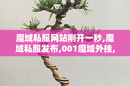 魔域私服网站刚开一秒,魔域私服发布,001魔域外挂,魔域私服发布