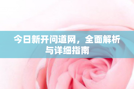 今日新开问道网，全面解析与详细指南