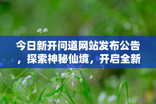 今日新开问道网站发布公告，探索神秘仙境，开启全新冒险之旅