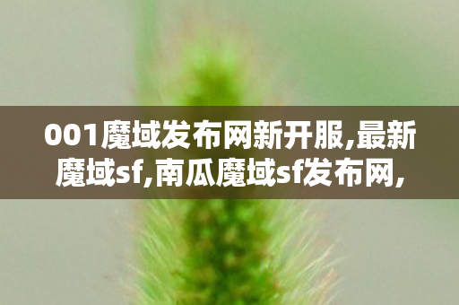 001魔域发布网新开服,最新魔域sf,南瓜魔域sf发布网,最新魔域sf