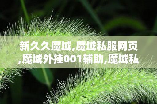 新久久魔域,魔域私服网页,魔域外挂001辅助,魔域私服网页