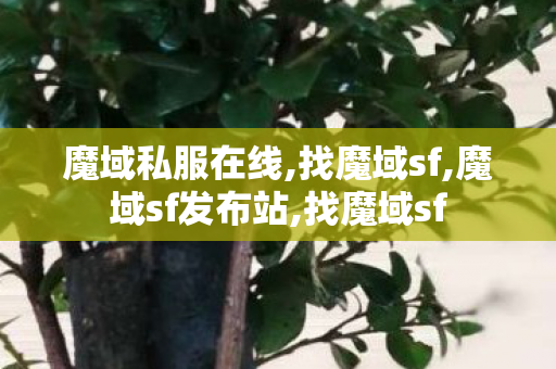魔域私服在线,找魔域sf,魔域sf发布站,找魔域sf