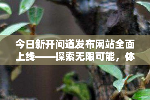 今日新开问道发布网站全面上线——探索无限可能，体验全新游戏世界