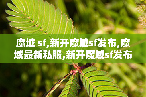 魔域 sf,新开魔域sf发布,魔域最新私服,新开魔域sf发布