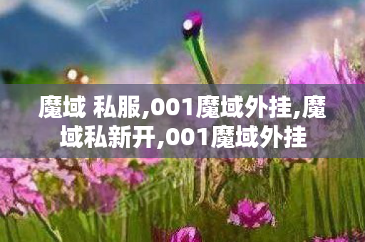 魔域 私服,001魔域外挂,魔域私新开,001魔域外挂