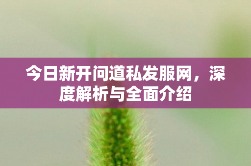 今日新开问道私发服网，深度解析与全面介绍