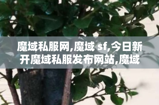 魔域私服网,魔域 sf,今日新开魔域私服发布网站,魔域 sf