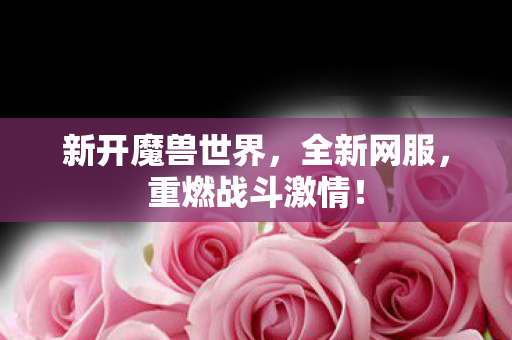 新开魔兽世界，全新网服，重燃战斗激情！