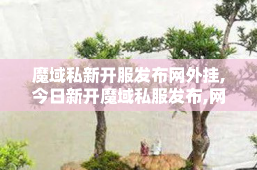 魔域私新开服发布网外挂,今日新开魔域私服发布,网通魔域私服发布网,今日新开魔域私服发布