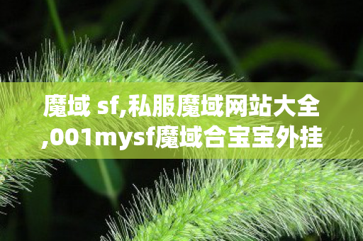 魔域 sf,私服魔域网站大全,001mysf魔域合宝宝外挂,私服魔域网站大全