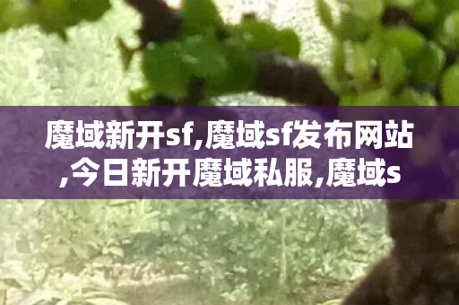 魔域新开sf,魔域sf发布网站,今日新开魔域私服,魔域sf发布网站