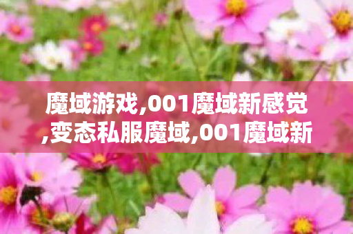 魔域游戏,001魔域新感觉,变态私服魔域,001魔域新感觉