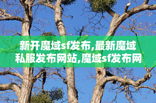 新开魔域sf发布,最新魔域私服发布网站,魔域sf发布网刚开一秒,最新魔域私服发布网站