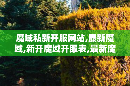 魔域私新开服网站,最新魔域,新开魔域开服表,最新魔域