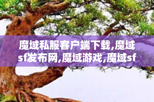 魔域私服客户端下载,魔域sf发布网,魔域游戏,魔域sf发布网