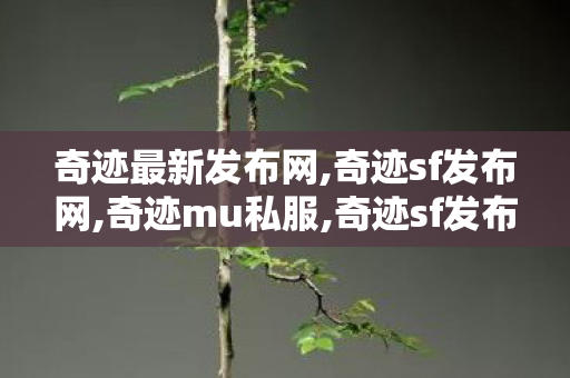 奇迹最新发布网,奇迹sf发布网,奇迹mu私服,奇迹sf发布网