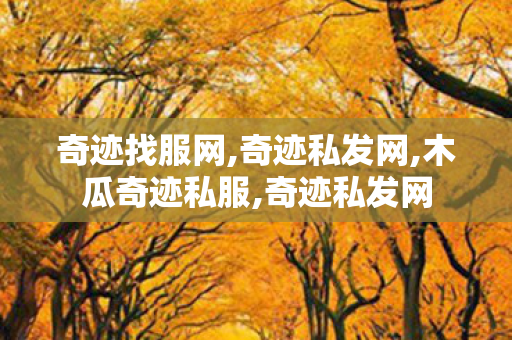 奇迹找服网,奇迹私发网,木瓜奇迹私服,奇迹私发网